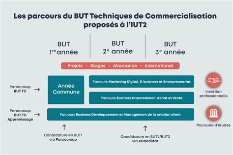 tech de co grenoble|BUT Techniques de commercialisation